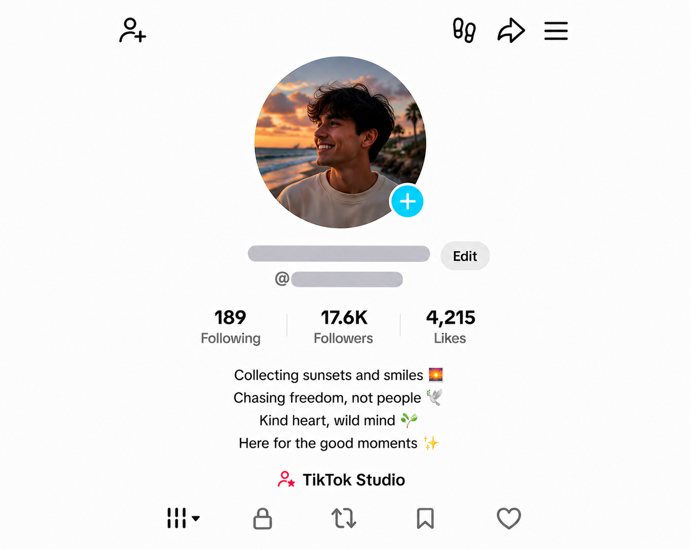 TIKTOK ACCOUNT